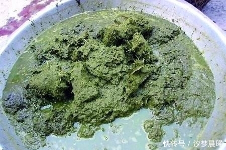 美食|舌尖上的美食牛粪火锅,你有勇气吃吗