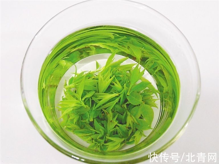 半盏新茶启新火