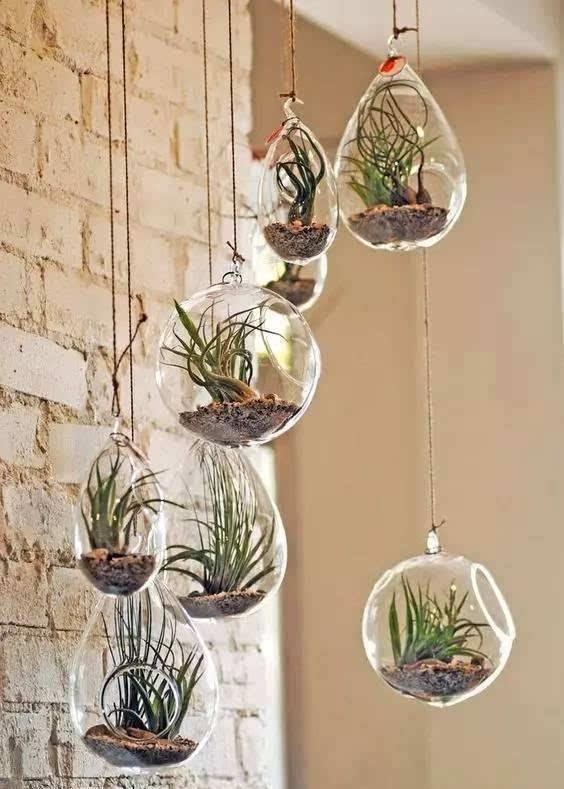 空中|房子小,咋养花?那就造一个空中花园