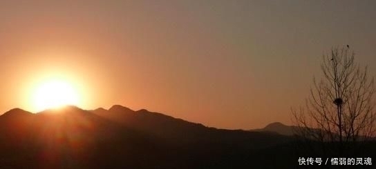 清冷幽静|王维很冷门的一首诗,只有24个字,却美得令人心醉