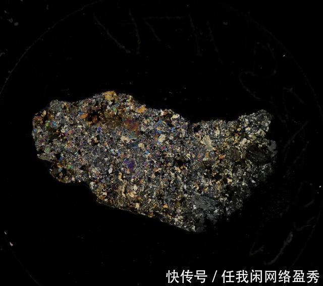 每年科学家都会去南极收集陨石，那里陨石有什么特别之处