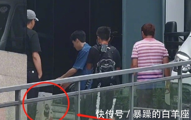 龔俊上|認真干活的男人真帥！龔俊上《中餐廳5》，洗碗摘菜全不落