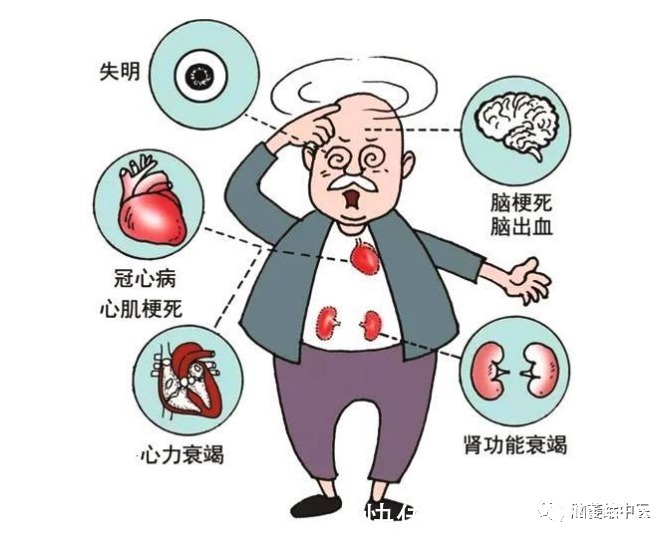 改善|高血压会影响脑血管产生突发情况,对于高血压可辅助进行食疗改善