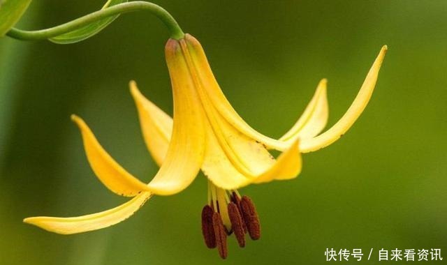 三件|做好这三件事,家庭的幸福不请自来