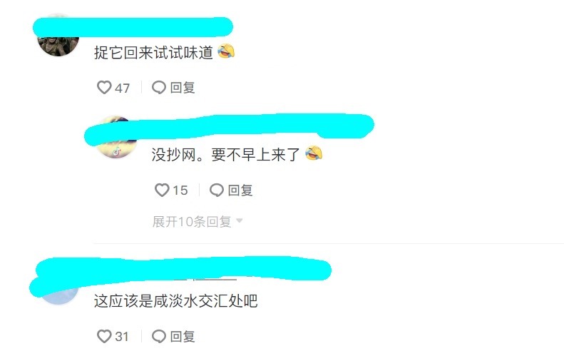 你见过有翅膀的鱼吗？广州男子河湾钓鱼，水面忽然游来一条怪鱼，把他吓坏了