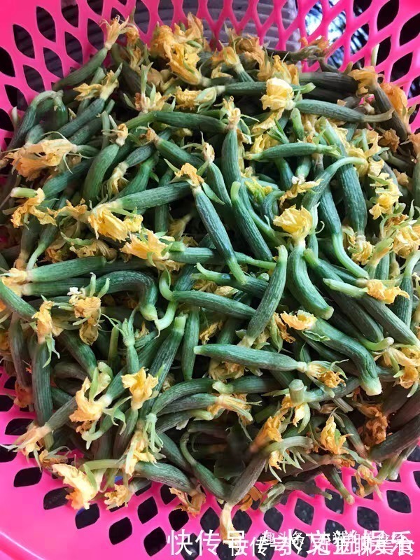 藏在身边“清肠菜”，隔三差五吃，给身体来次大扫除，腰围变细了