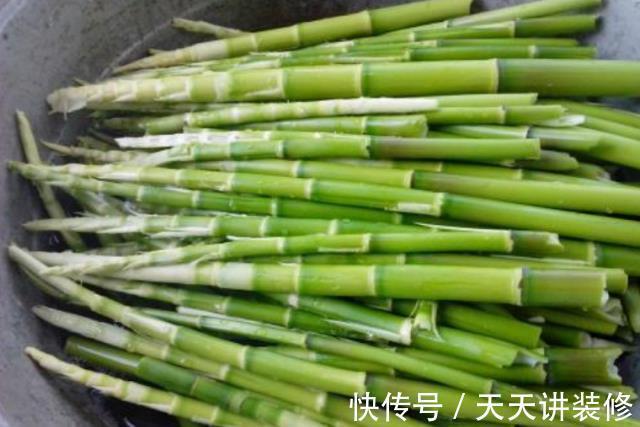 竹笋|竹笋能够降血压吗，常吃竹笋，能给身体带来什么好处，了解下