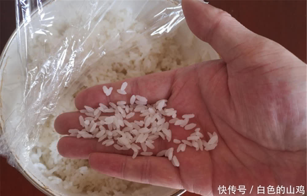 夏季|夏季高温鲫鱼不好钓,试试这些“清爽”饵料,气温高反而效果更好