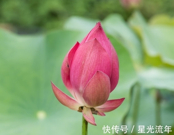 贵人|九月底，财神光顾，钱包鼓鼓，贵人相助，桃花朵朵，有望脱单