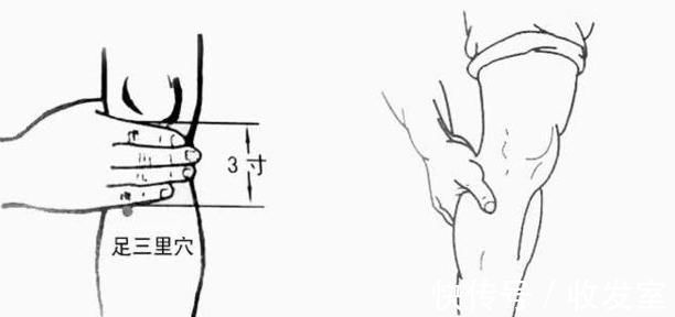 足三里穴|能长寿的人,身体三处会“鼓”起来,看看自己有没有!