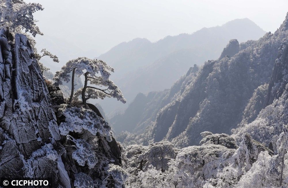 大面积|安徽：黄山迎入冬首场大面积雾凇