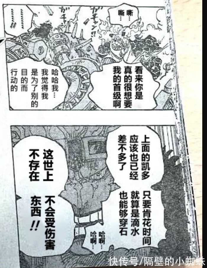 小蜘蛛|海贼王1038话分析，罗和基德再战bigmom，两人赢得几率很高