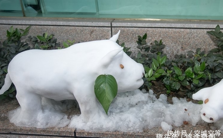 意外|高手在民间之银行保安,堆雪人意外走红,许多游客到银行门口打卡