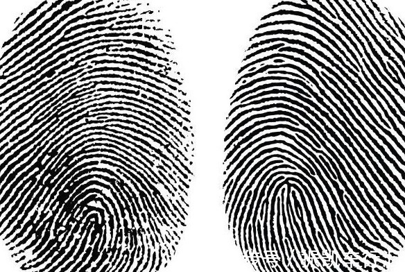 命运!俗语:十指簸箕没有斗,下半句直接道出命运,可惜大多数人不知道