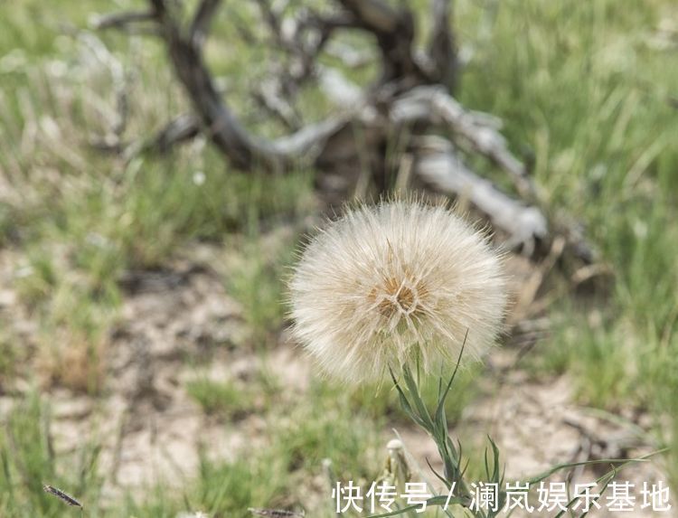 女人|非常值得娶的3个生肖女人，漂亮温柔，还非常的旺夫