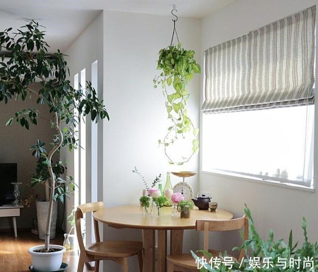 小两口之家,全屋布满绿植鲜花,把生活过成了诗,太美太治愈了!