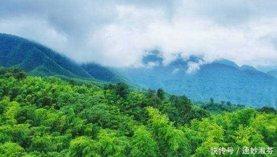 多渠道|贵州：从“引流入黔”到“一路黔行”