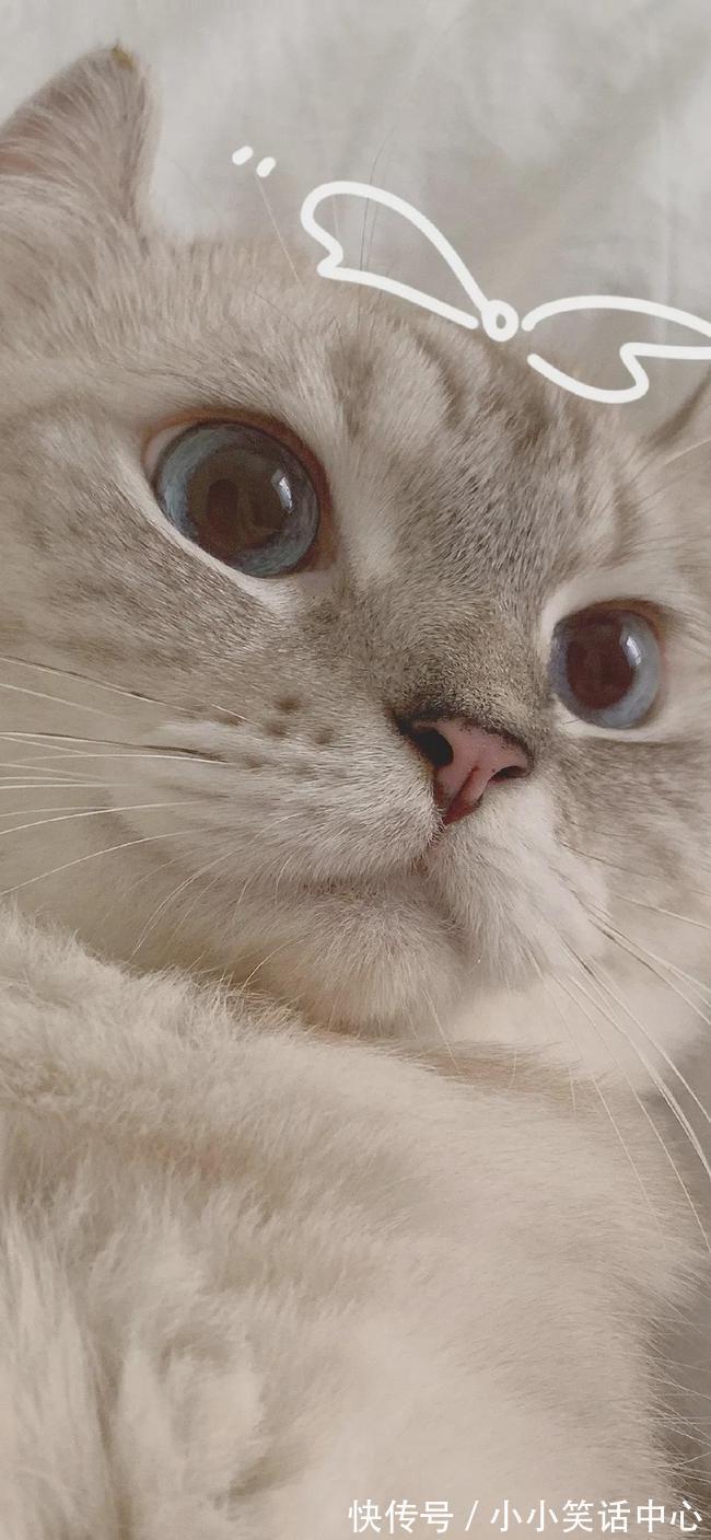 |【被窝段子20211223】现实点,你根本没有努力,你在抱怨