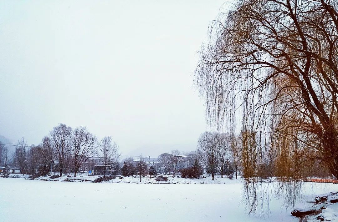 春雪如期而至 延庆冬奥赛区宛若仙境！