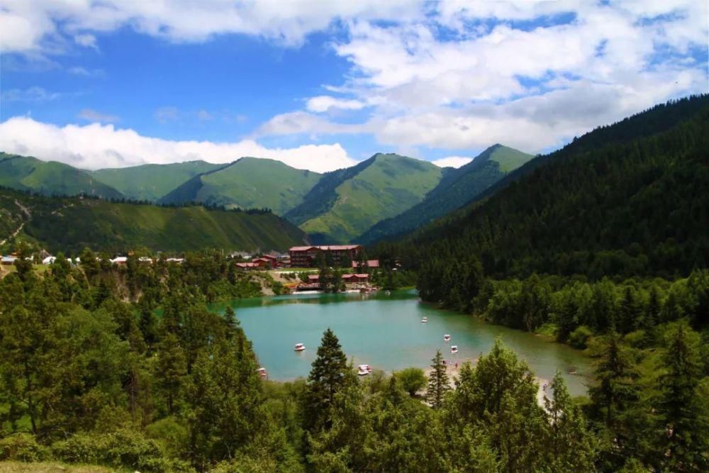 卓尼|卓尼这片热土,您是否情有独钟