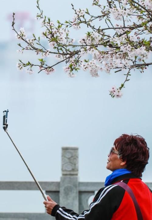 花开醉人