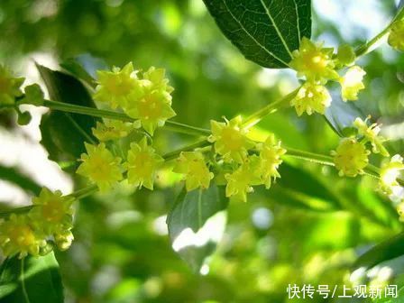 梅雨|今日夏至！防潮的“锦囊妙计”来了