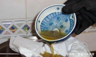 春天养花不用愁，藏厨房里的“它”，取出1勺浇盆里，啥花都疯长！