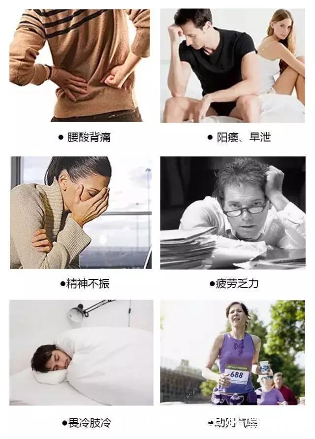 该药|固精补肾丸健脾、补肾、固精三效合一,什么时候吃才合适