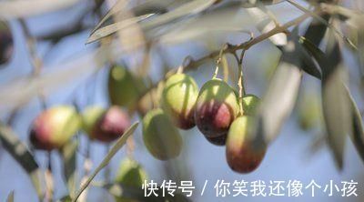 黄瓜|女性不想老得快,三种食物更要吃,乌发润肤,减少皱纹,不吃可惜