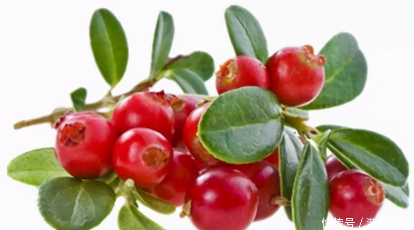 补血|气血不足,不妨多吃3种食物,既能活血化瘀,又能补气补血