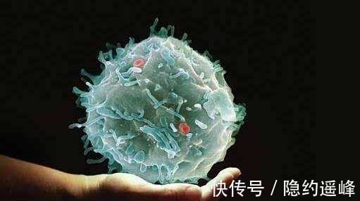 营养物质|天生属于抗癌体质的5类人,希望全部都有