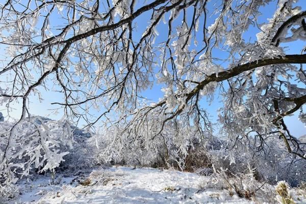 雪景|就在广元过年！这些春节旅游新玩法，给你安排得明明白白！