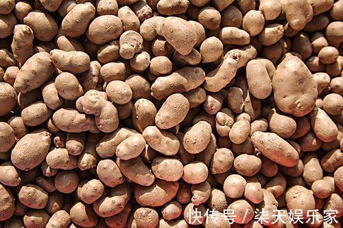 山药|天冷,最烦半夜上厕所,多吃这菜,一觉睡到天亮