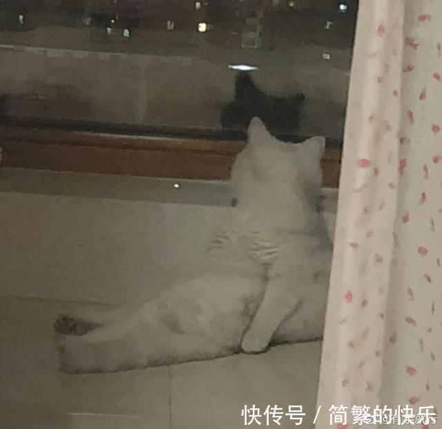 |有被冒犯到 冷段子1770