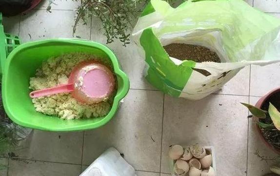 不知道如何利用''旧土''那就加点料吧，保证盆栽土变肥沃