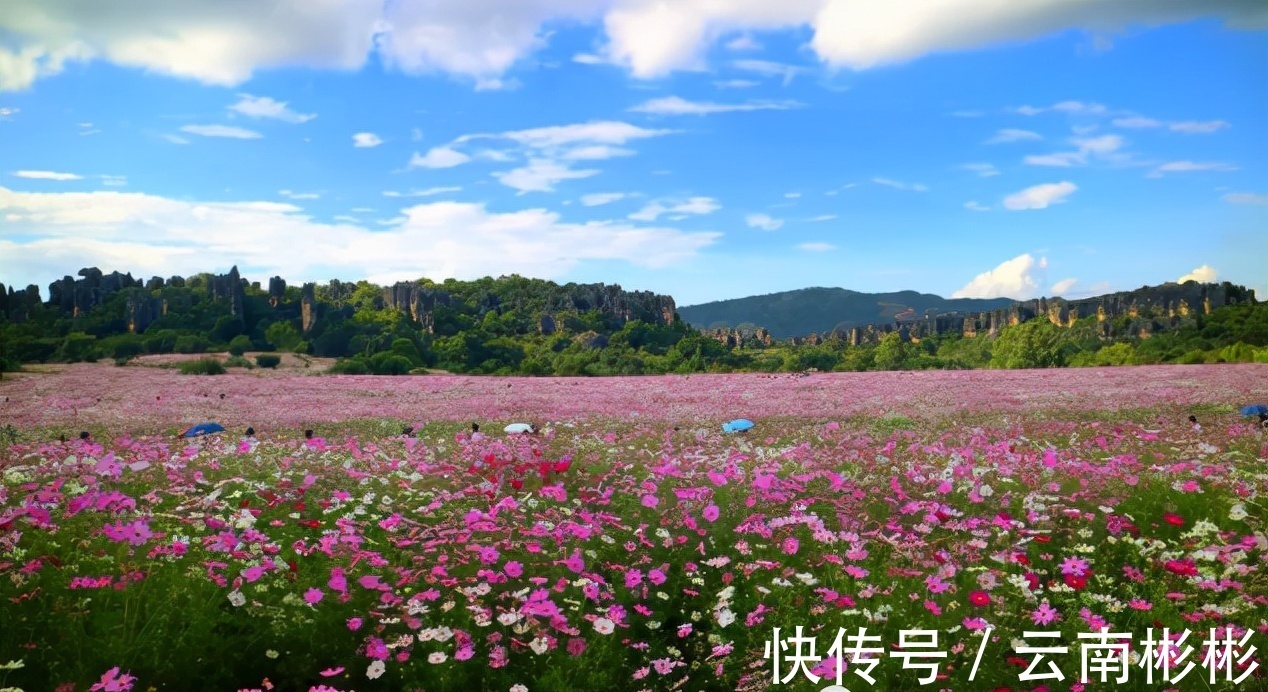 云南|30万到云南石林买两居室,平时父母住,自己还有一个次卧