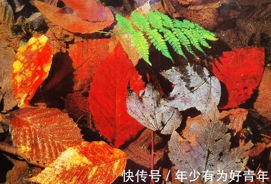 自然教育|绿聚书圈｜永怀惊奇之心