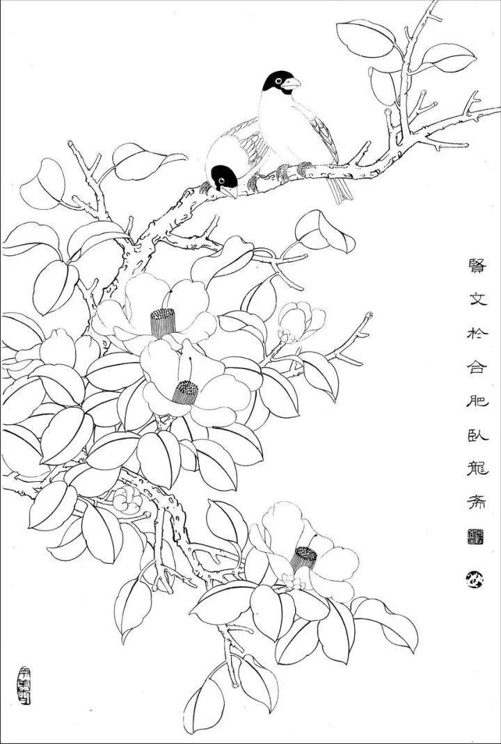 资料集|王道良实用花鸟白描资料集