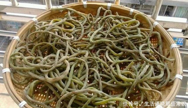 学会|保存豆角没必要放冰箱,菜农学会这1招,放一年不会坏依然好吃