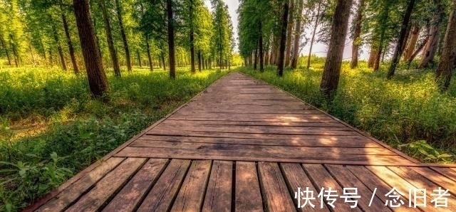 危险的路|塔罗占卜：选一条你认为危险的路？测你身边算计你的人是谁