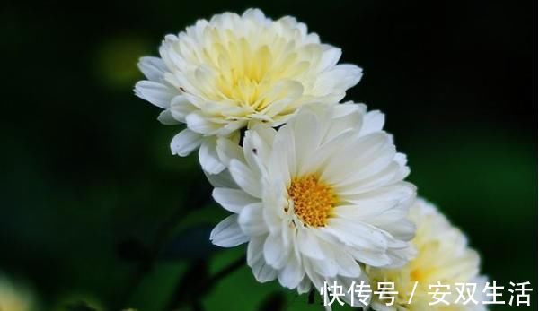 大器|孩子以后能否成大器,和成绩无关,这3句话点醒无数父母