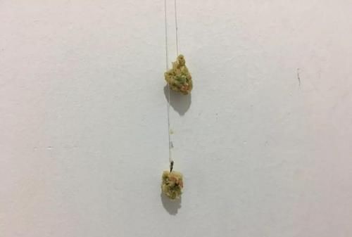 动在水的表|钓白条有技巧,并不是使用腥饵那么简单,想钓得好这几点尤为重要