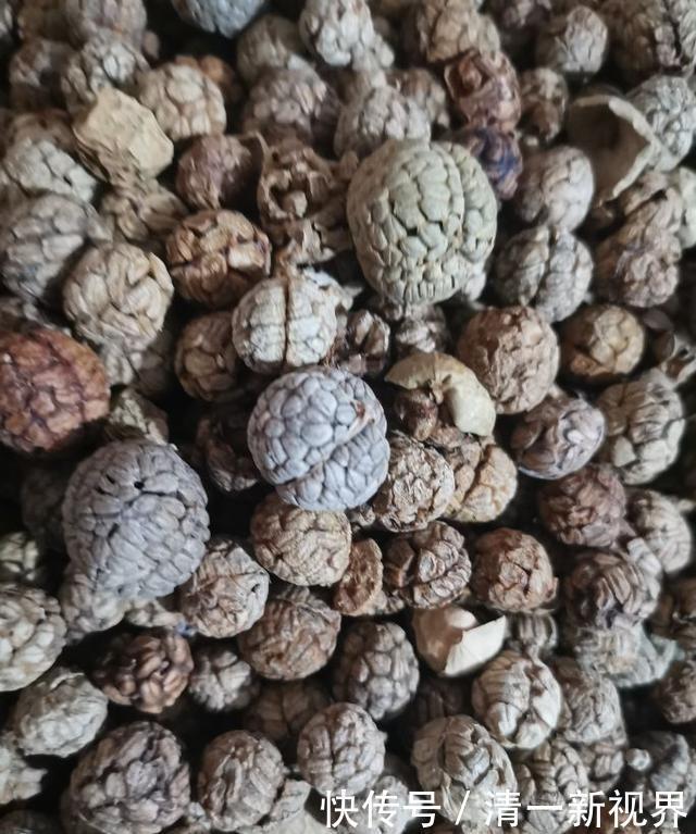 飘香|想让卤水飘香四溢 这几款香料不可少