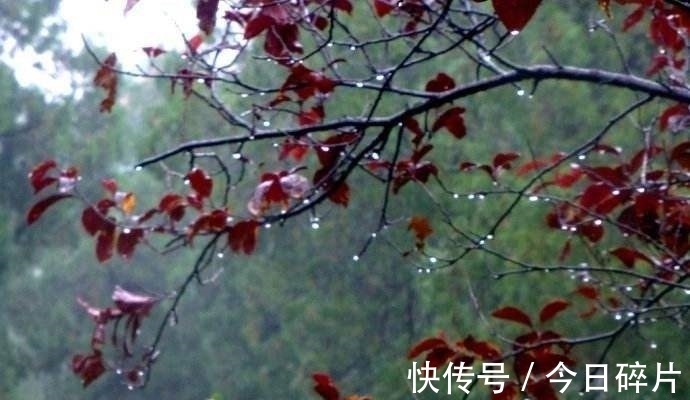 词人!纳兰性德《菩萨蛮》词中的深情:无处不伤心,轻尘在玉琴