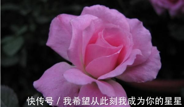 妙计|君子易处小人难防,击垮小人的4大妙计,学会一招小人跪地求饶!