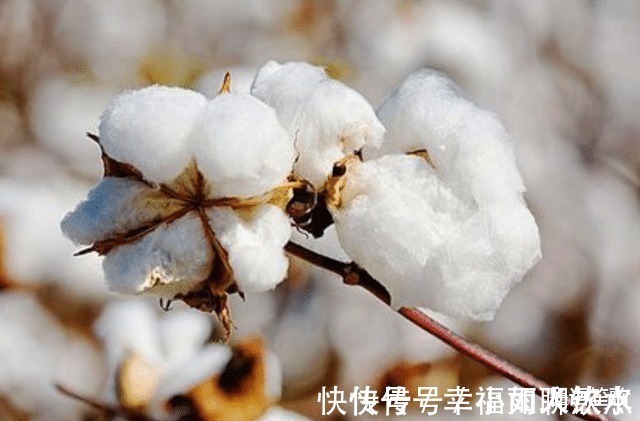 寒冬@明代以前没有棉被,古人是如何度过寒冬的老祖宗真有才