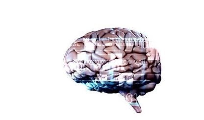 发出|脑供血不足时,身体会发出3个“预警”,尽量别忽视