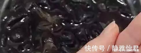 木耳|吃木耳的人，注意了千万别这么吃，别怪没提醒你