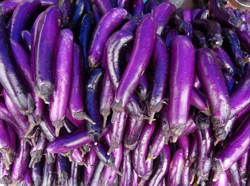 西红柿|吃了“激素茄子”还傻傻不知道，教你2招辨别，以后别乱买