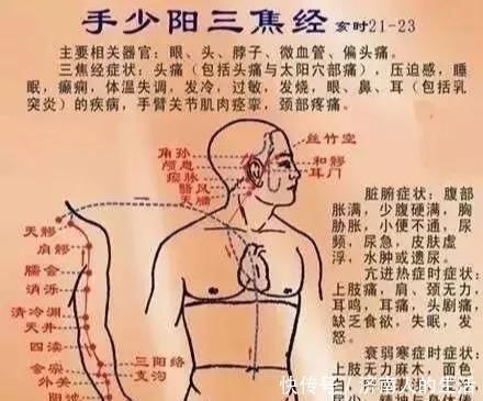 下焦|搞懂了人体的“三焦”,所有疑难杂症,都可迎刃而解,建议收藏!